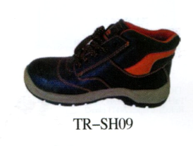 TR-SH09