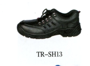 TR-SH13