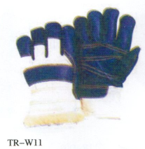 TR-W11